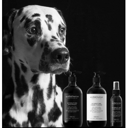 smith&burton champu BIO hidratante para perros y gatos con kiwi, aloe vera, miel de manuka, ginseng y coco