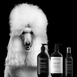 Nährendes BIO-Shampoo für Hunde mit Argan, Algen, Manukahonig, Hagebutte und Granatapfel (250/500ml)