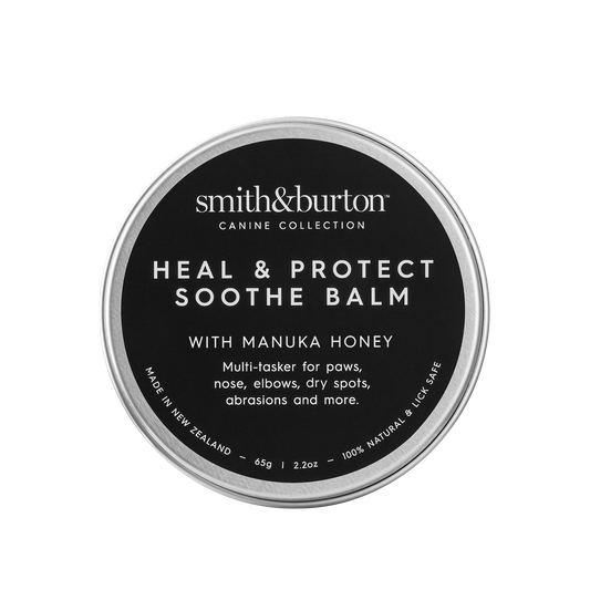 Bálsamo Reparador Natural para Perros con Miel de Manuka – smith&burton | Cura y Protege Patas, Nariz y Codos (65g)